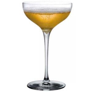 Kieliszki do Koktajli Nude Terroir 18,5 cl (6 szt.)